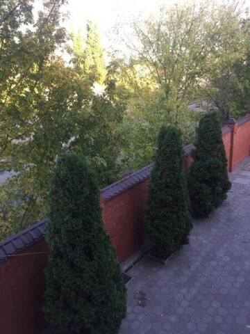Фото номера Двухместный номер Гостиница Форсаж г. Таганрог 4